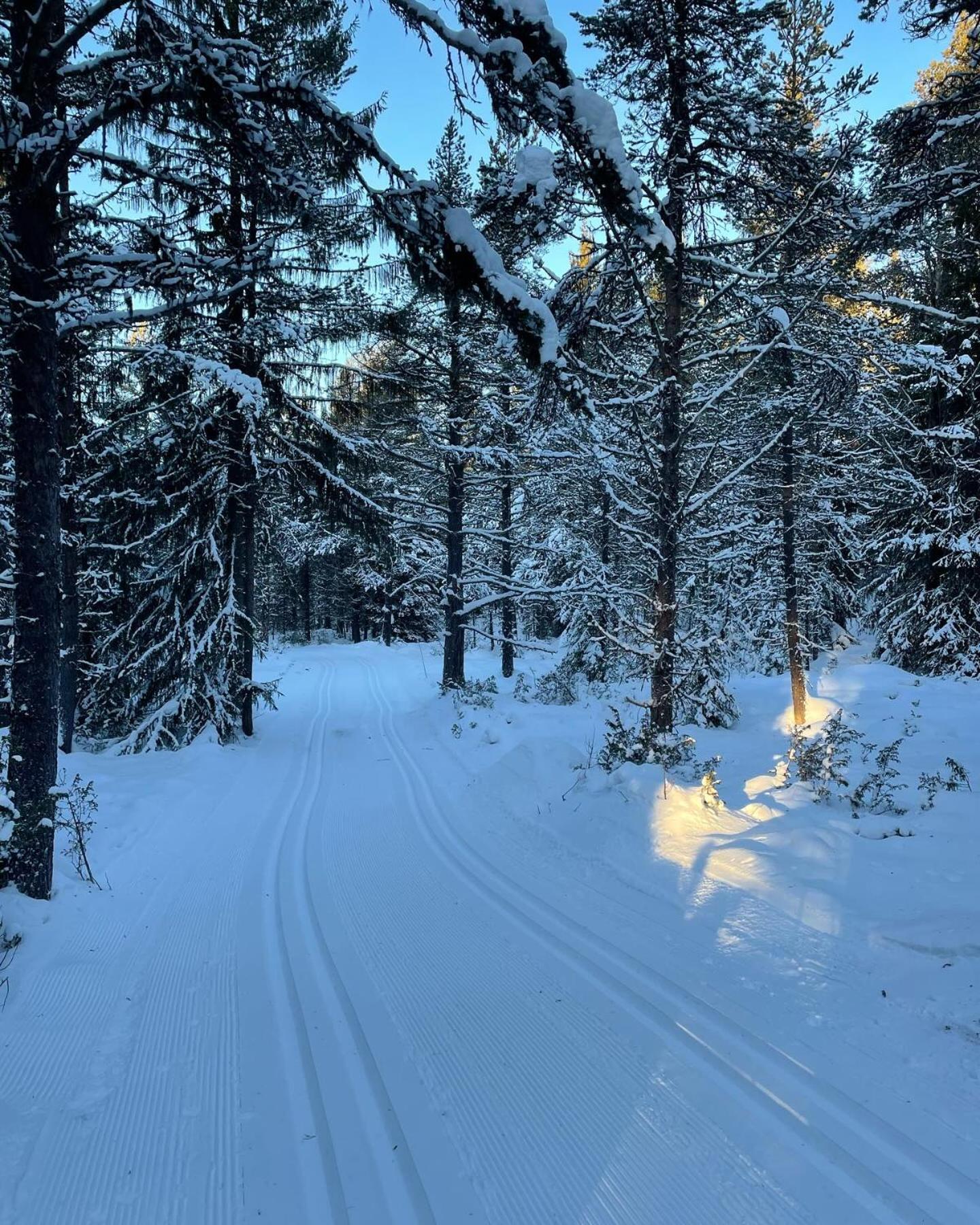 Bjorgebu Camping As Mysusæter Esterno foto